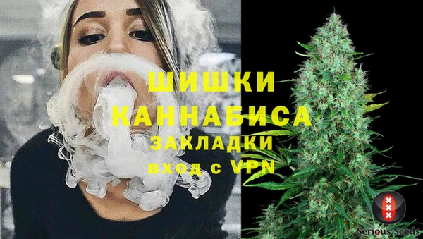бошки Алексин